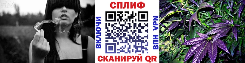 Бошки марихуана SATIVA & INDICA  купить наркотики цена  Североморск 